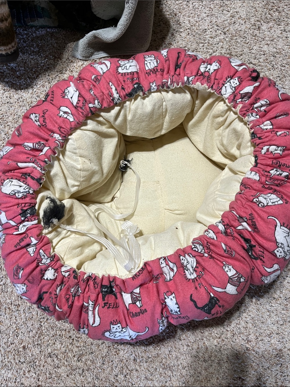 Cat or dog bed